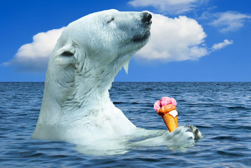 мороженое, пломбир, медведь