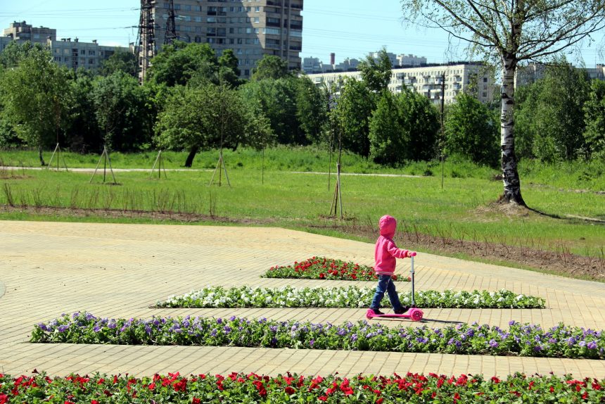 Муринский парк дорожки зелёная зона