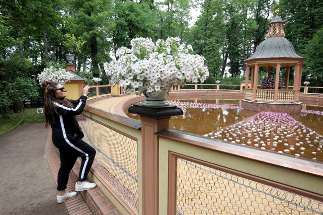 фестиваль Императорские сады России Летний Сад цветы Менажерийный пруд