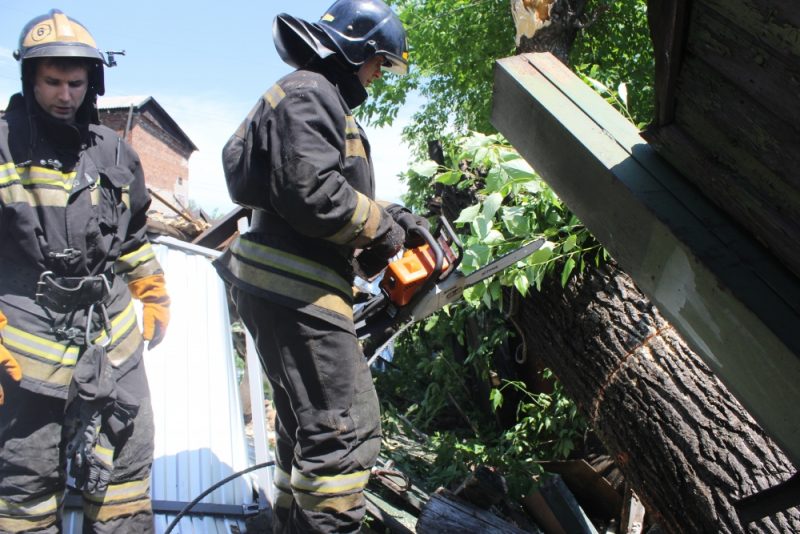 пожарные спасатели упавшее дерево