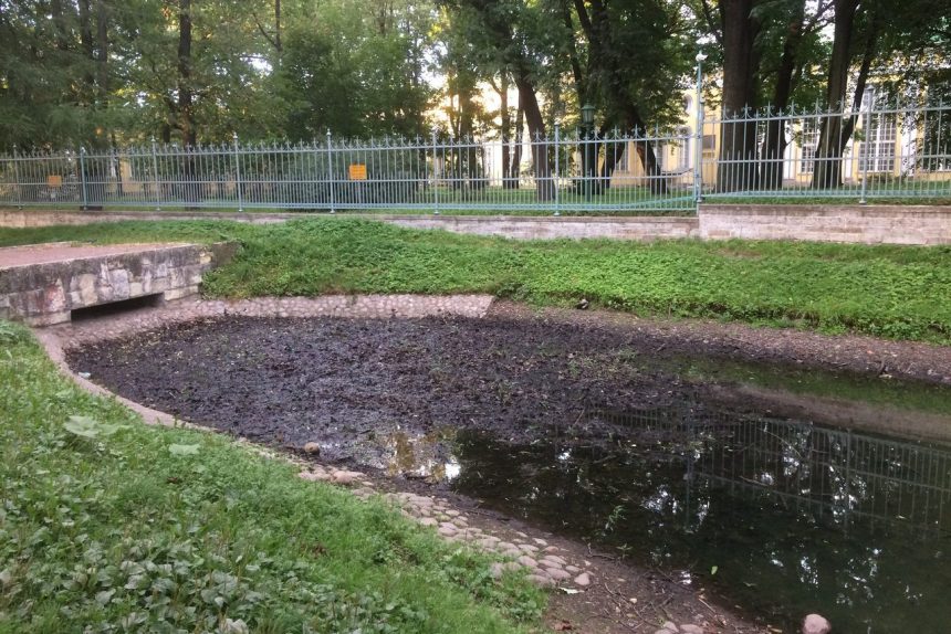 таврический сад водоём загрязнение вода река озеро