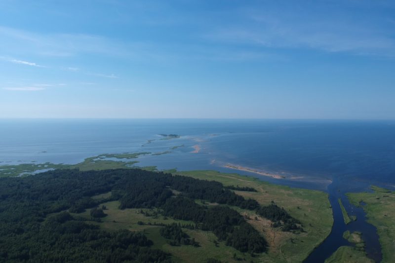 Кургальский заказник полуостров Балтийское море природа