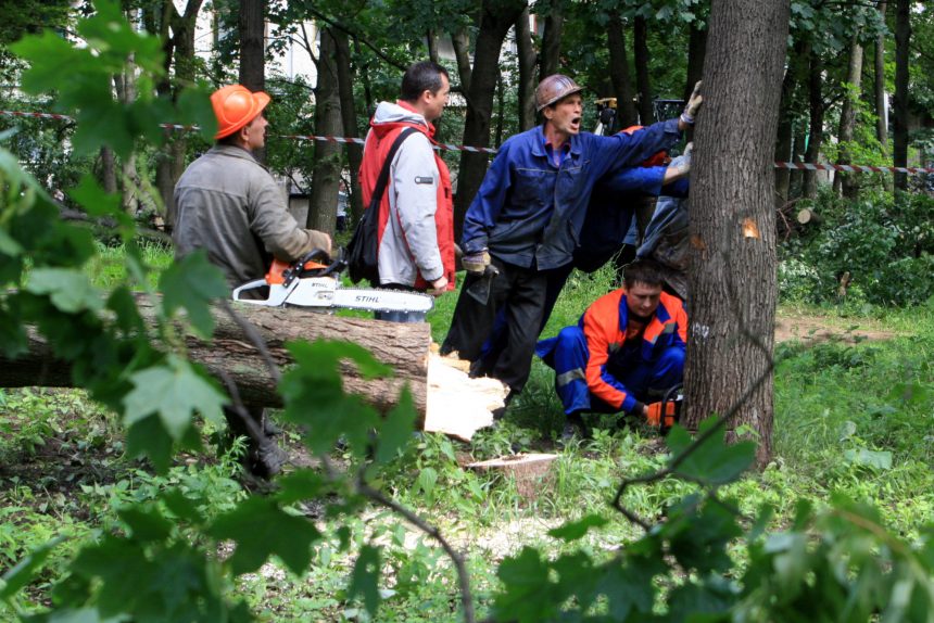 вырубка зелёных насаждений сквер Подводников