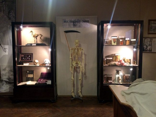 военно-медицинский музей скелет смерть