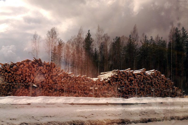 вырубка леса ОЭЗ Новоорловская