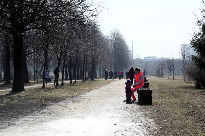 Заневский парк дорожки прогулки зелёная зона