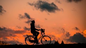 велосипед, закат, велосипедист