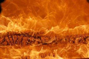 В МЧС предупредили о повышенной пожароопасности в Ленобласти