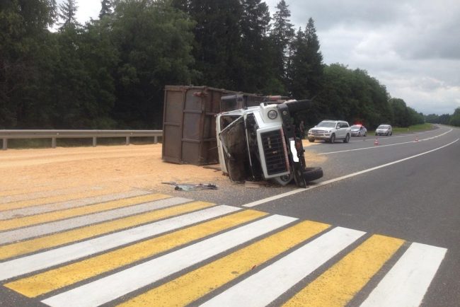 дтп кукуруза