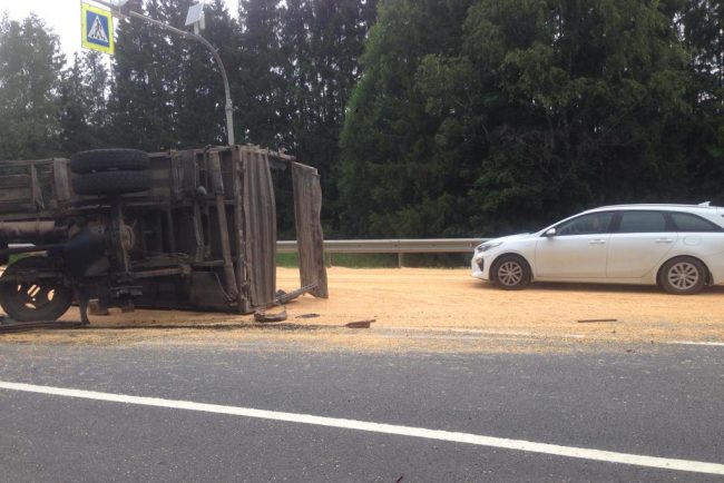 дтп кукуруза