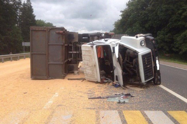 дтп кукуруза