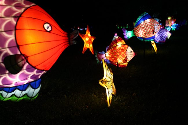 фестиваль гигантских китайских фонарей