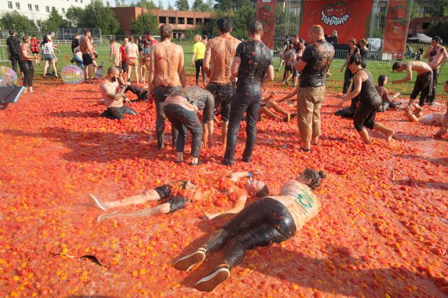 томатина томатная битва стадион кировец