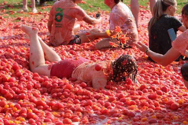 томатина томатная битва стадион кировец