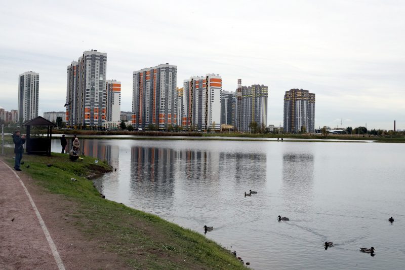 парк Героев-пожарных водоём птицы утки