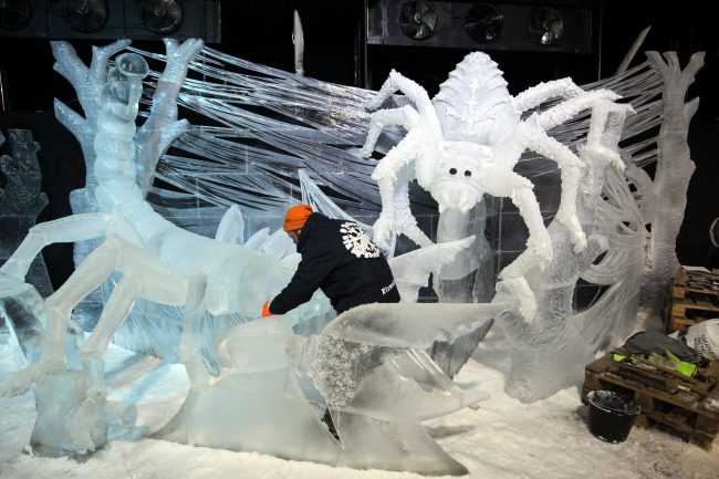 ледяные скульптуры скорпионы пауки членистоногие