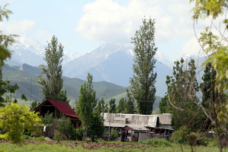 деревня село чуйская долина