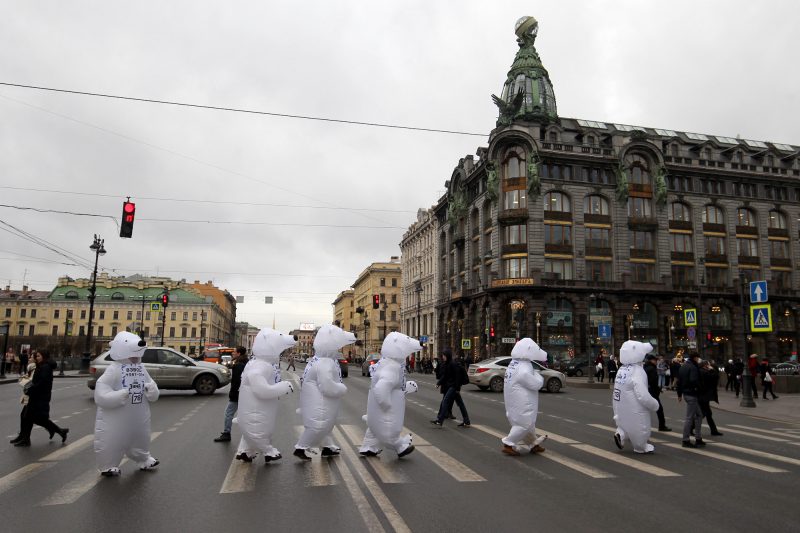 медвежий десант белые медведи