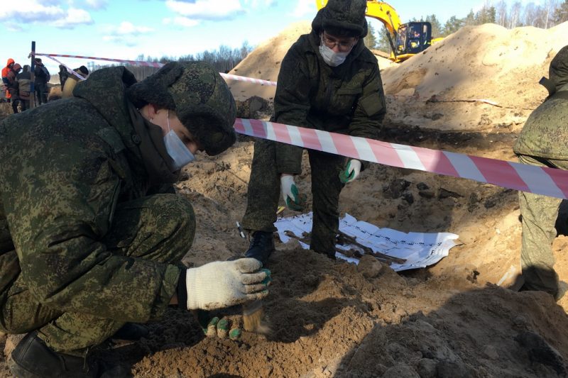 зво поисковики