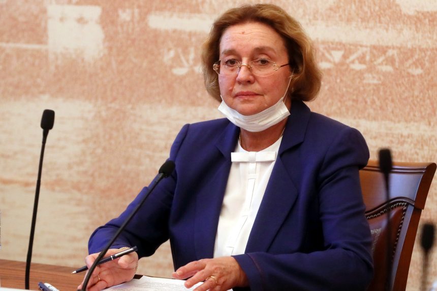 Ирина Соколова, Общественная палата Петербурга