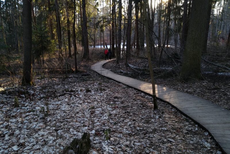 ООПТ, природный заказник Комаровский берег