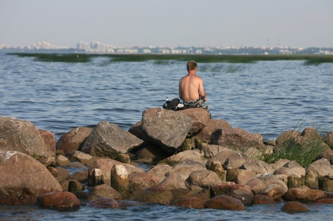 Южный берег Финского залива, море, загорающий человек, отдых