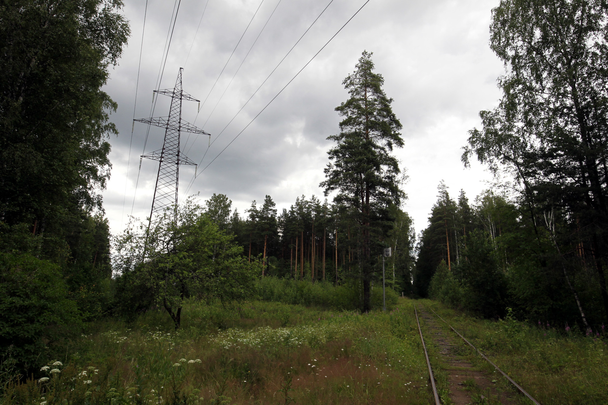 Фото новоорловский заказник