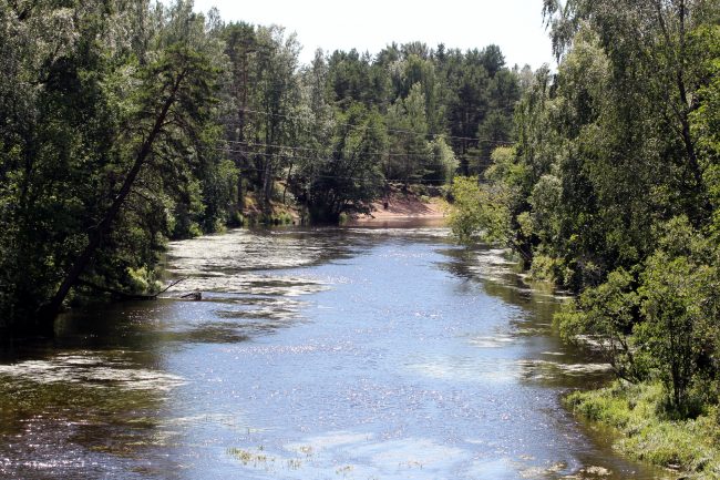 Гладышевский заказник, Чёрная речка