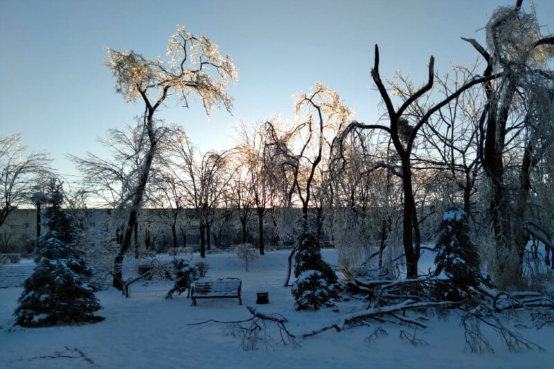 ледяной дождь, Владивосток