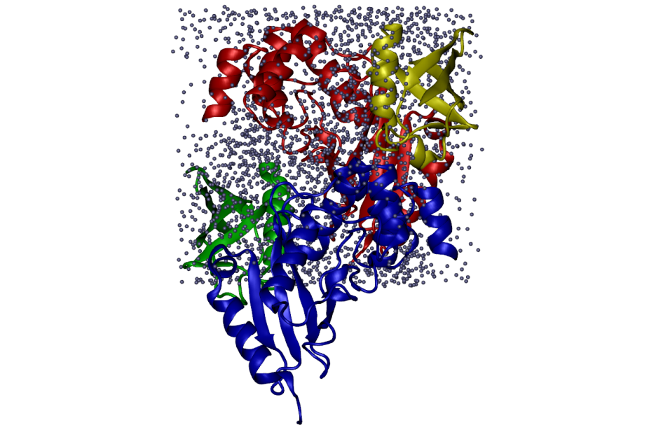 Полноатомная гибридная кристаллографическая/МД модель структуры белкового комплекса, растворенного в элементарной кристаллической ячейке