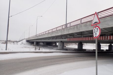 мост глупости