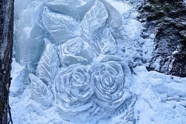ледяные розы монрепо