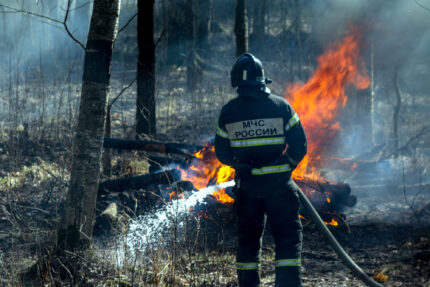 пожарные, огонь, лесной пожар