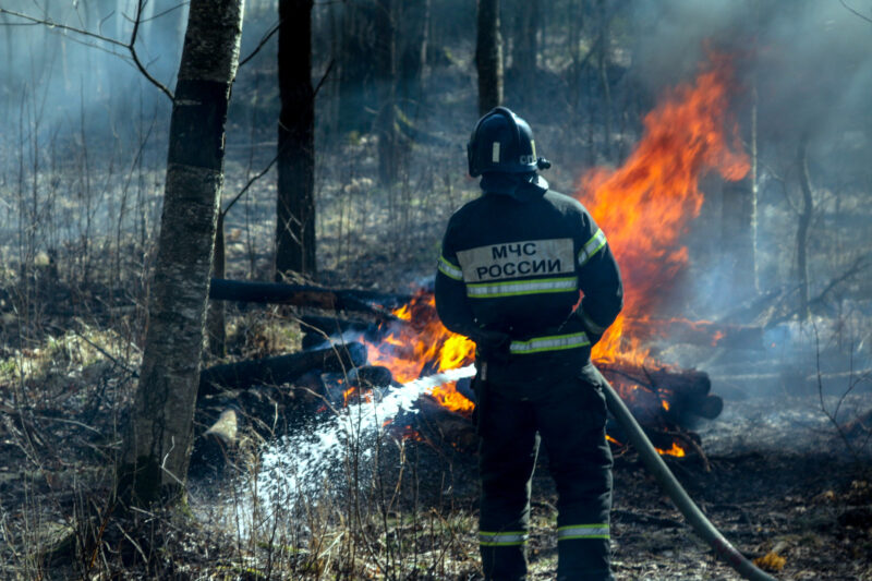 пожарные, огонь, лесной пожар