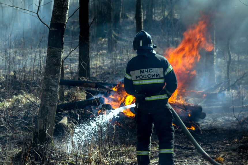 Бойтесь огня... и воды. Пожароопасный сезон в Петербурге установят с 15 апреля