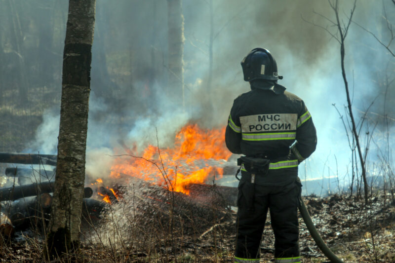 пожарные, огонь, лесной пожар