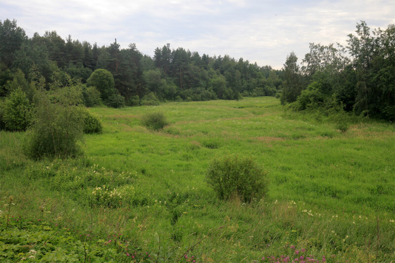 Шунгеровский заказник