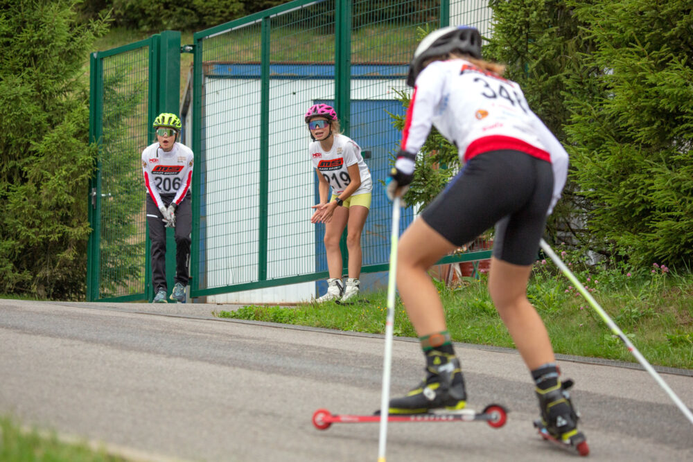 Зимой и летом одним цветом в Ленобласти состязались