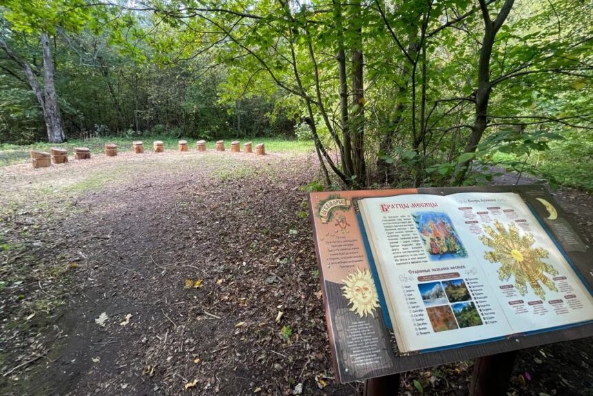 детский экомаршрут, экотропа, У Лукоморья, заказник Северное побережье Невской губы
