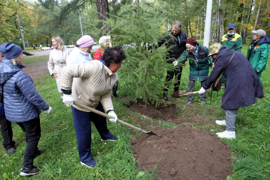 посадки деревьев, озеленение, Удельный парк