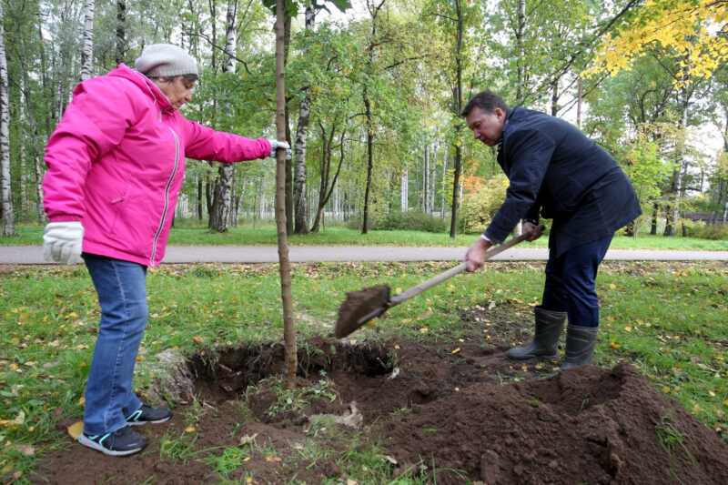 посадки деревьев, озеленение, Удельный парк