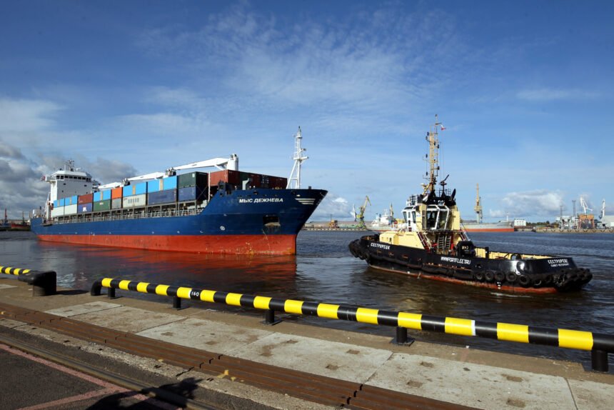 петербургский лесной порт, морской порт, грузоперевозки, суда, судоходство, контейнеровоз Мыс Дежнёва