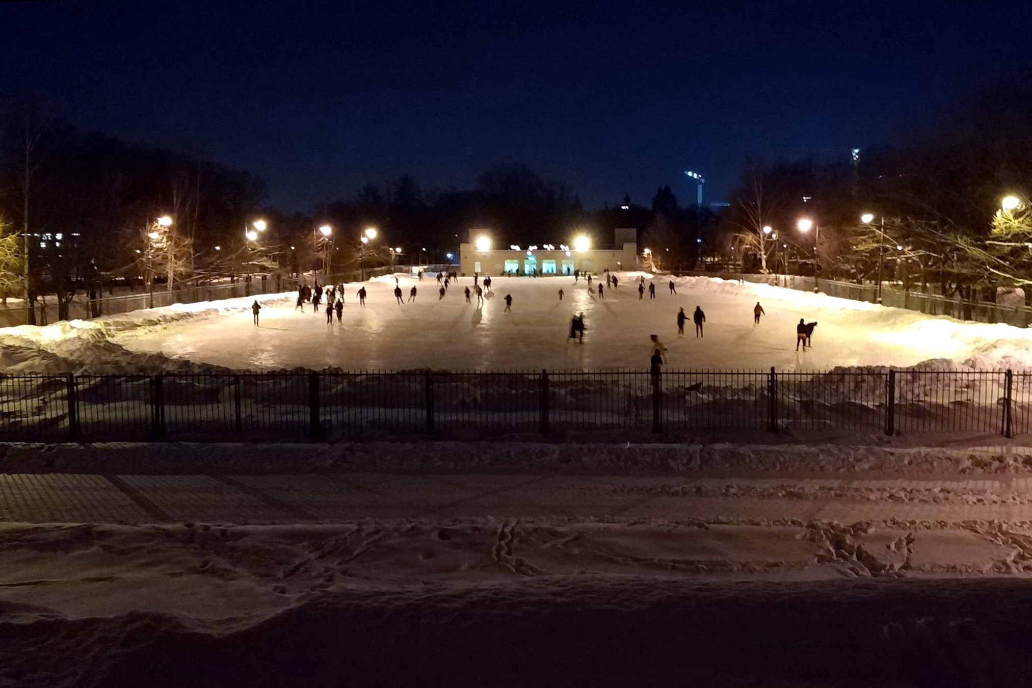 парк победы город зима
