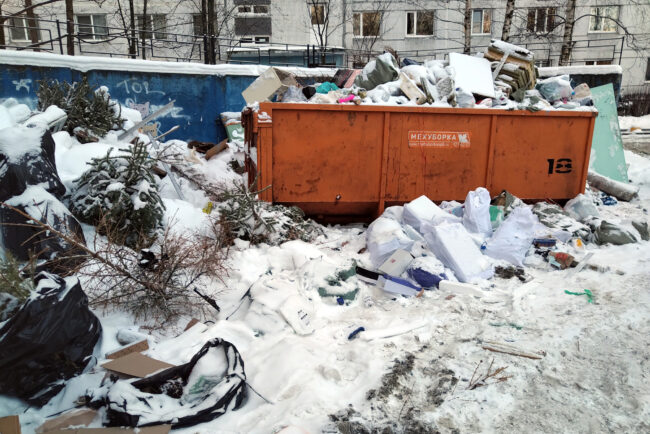 мусор, отходы, контейнерная площадка, зима, снег, выброшенные ёлки
