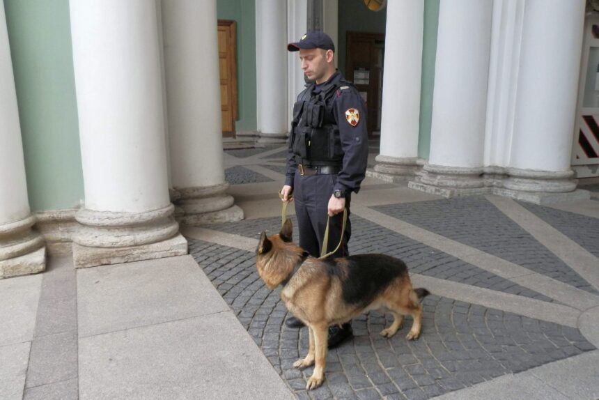 сотрудник полиции, полицейский, кинолог, служебная собака