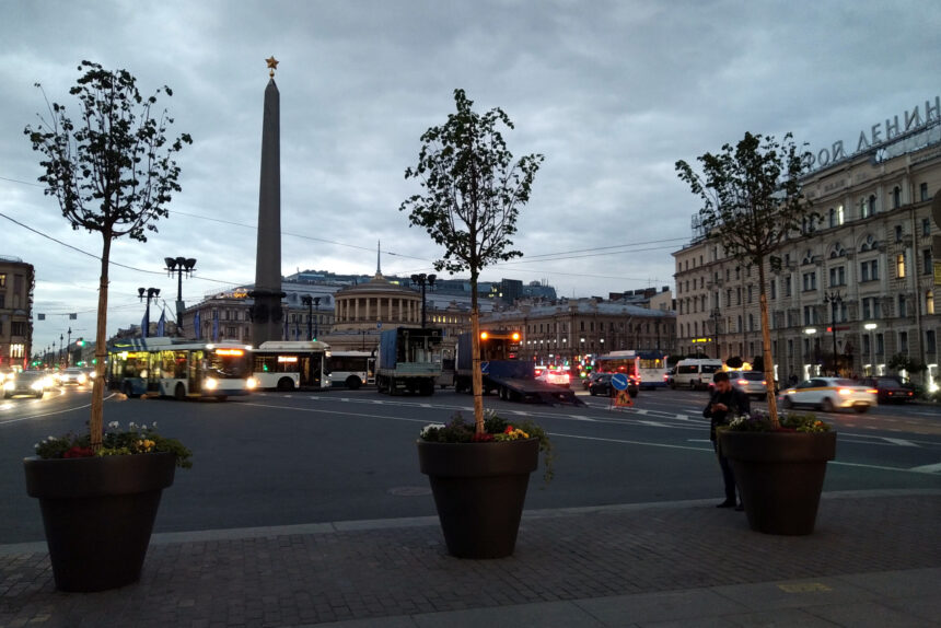 деревья в кадках, озеленение, площадь восстания