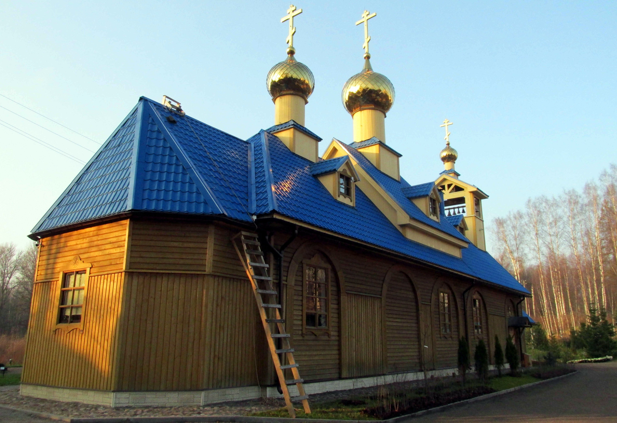 храм святителя Василия Великого в Осиновой Роще