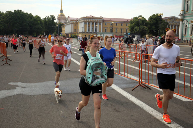 забег петербургских котов, лёгкая атлетика, спорт