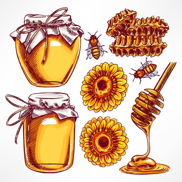 мед пчелы соты