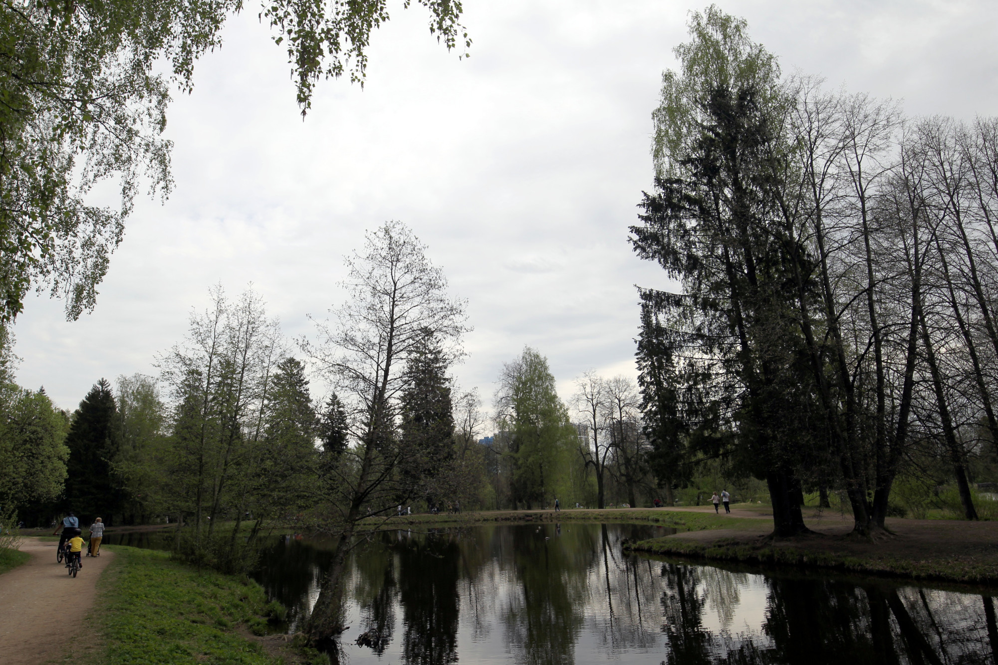 Шуваловский парк, зелёная зона, пруд, прогулки, отдых